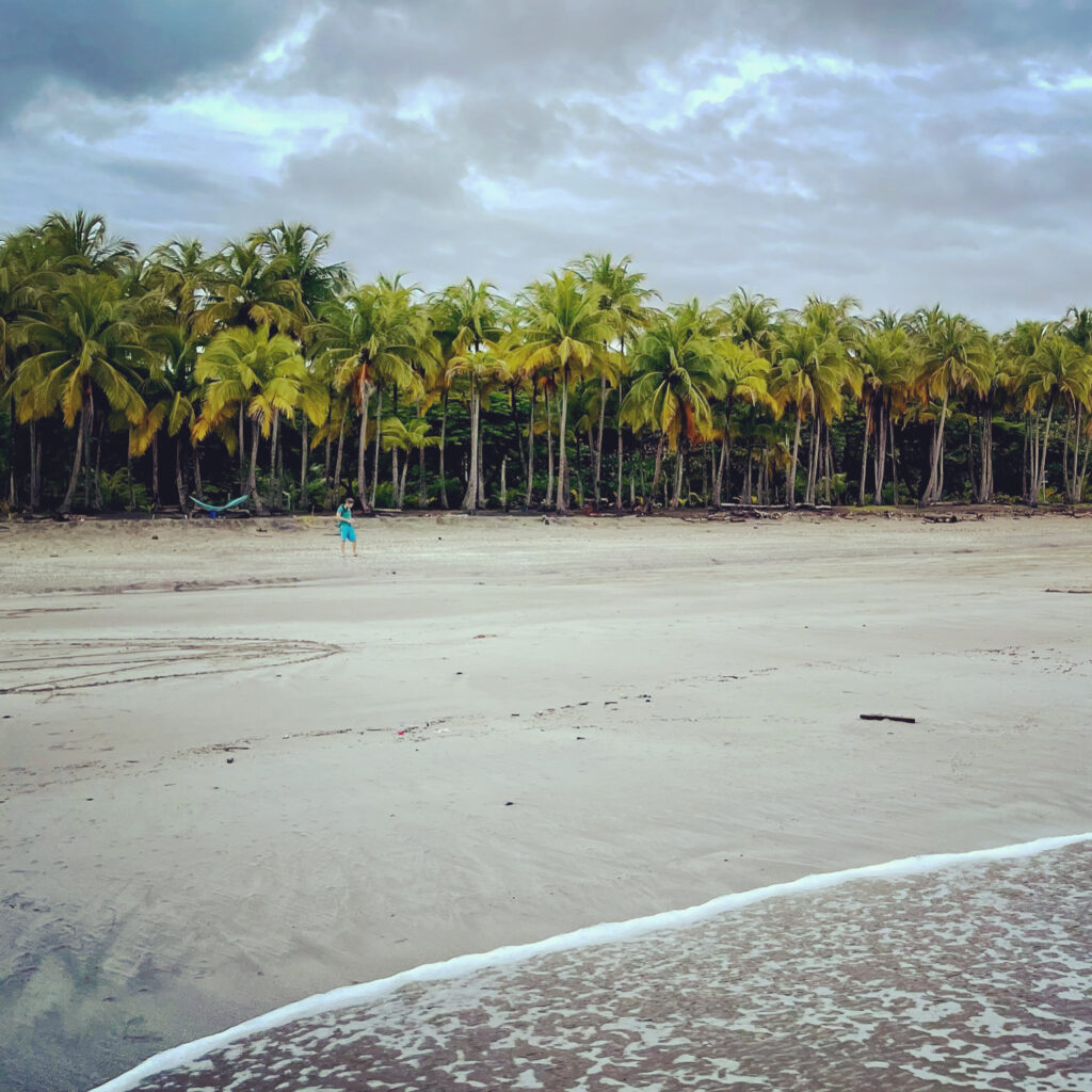 Play Carillo palms