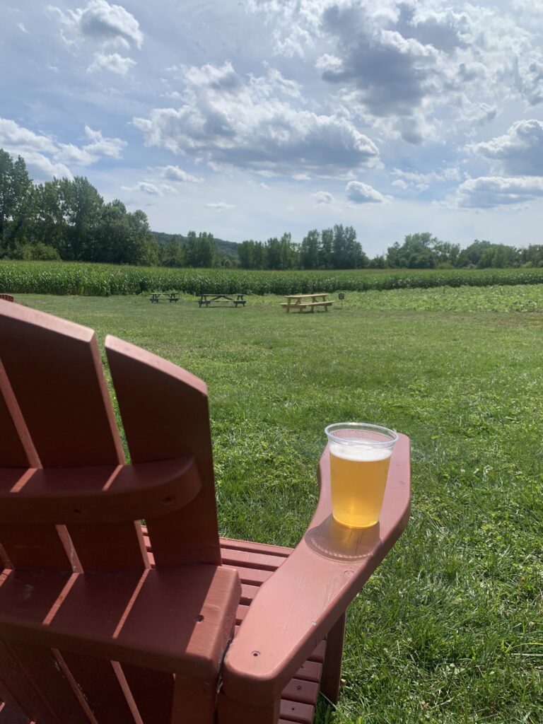 adirnodack chair beer