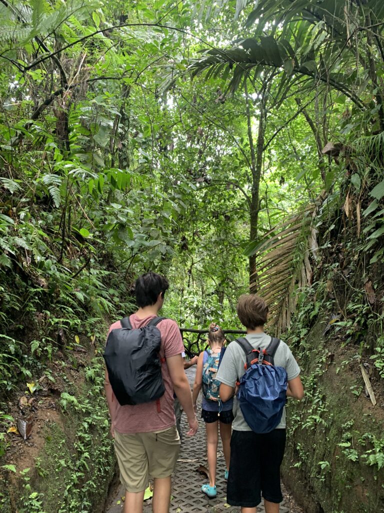 backpacks cover