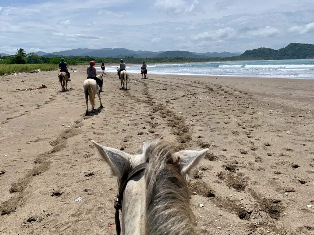horses beach costa rica