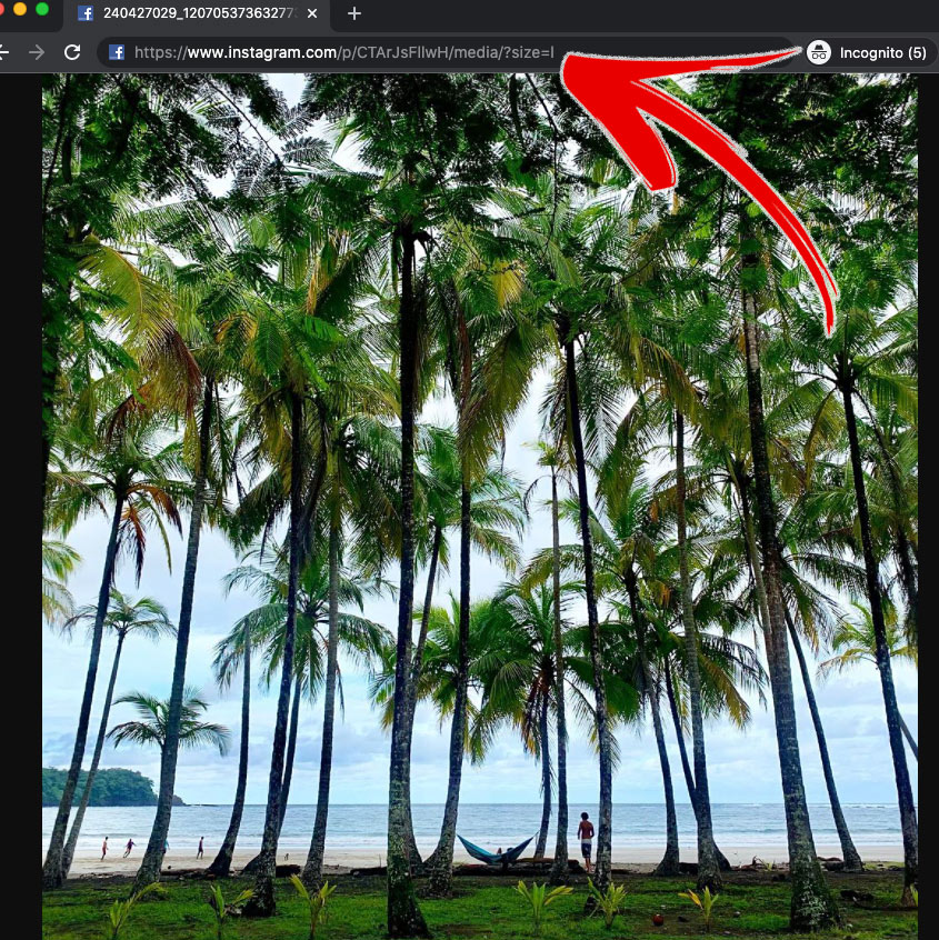 how instagram photo download