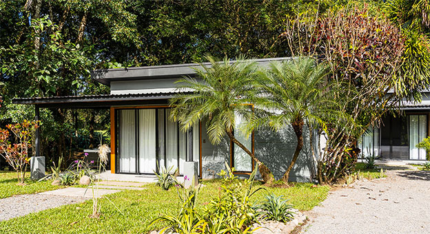 noahs forest costa rica