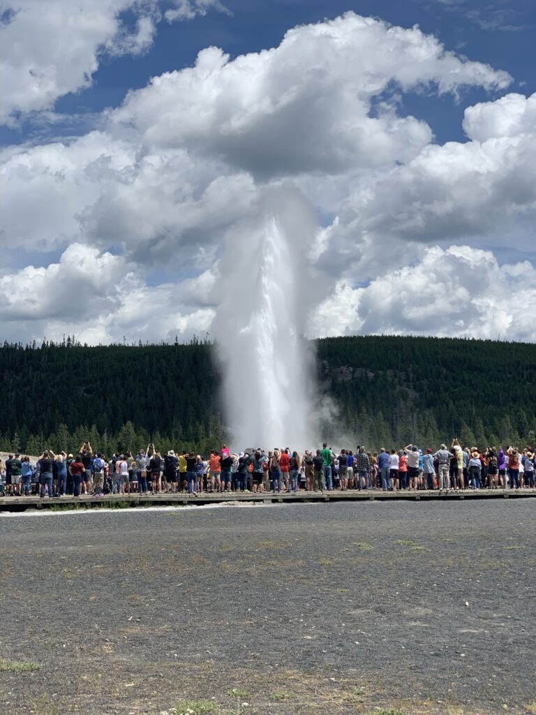 old faithful crowd