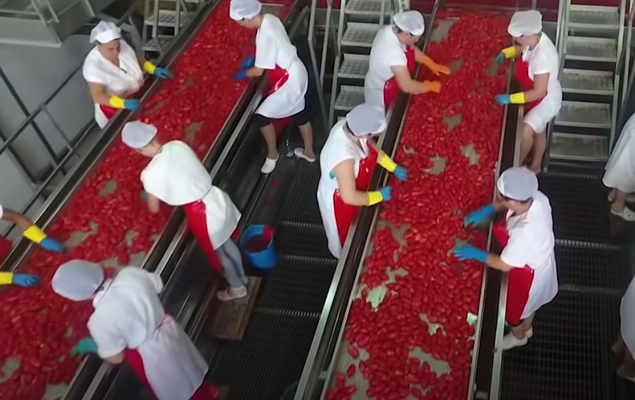 tomato ketchup factory