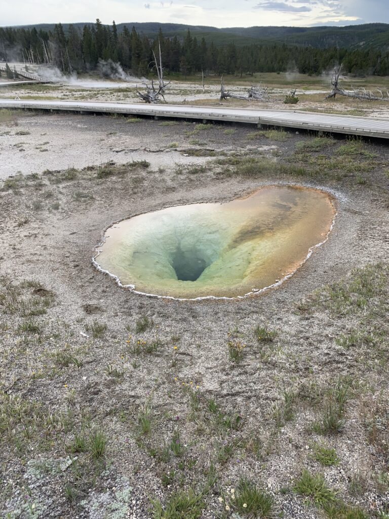 upper geyser bason yellowstone